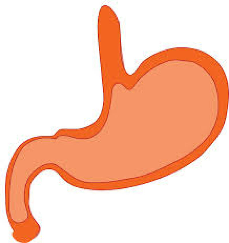 Vomiting | MacKoul Pediatrics Cape Coral Florida